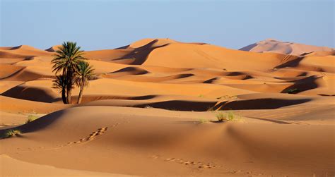 saharasdessert|Désert du Sahara: tout ce que tu as besoin de savoir